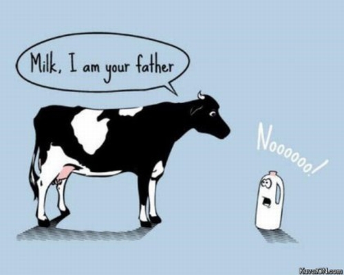 milk_cow_father